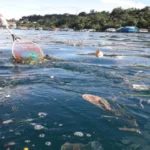 Aturan Larangan Buang Sampah Ke Sungai Dan Laut Demi Jaga Keberlanjutan Laut Papua Barat