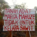 Konflik Pertanahan antara Masyarakat Adat Papua dan Industri Kelapa Sawit di Merauke
