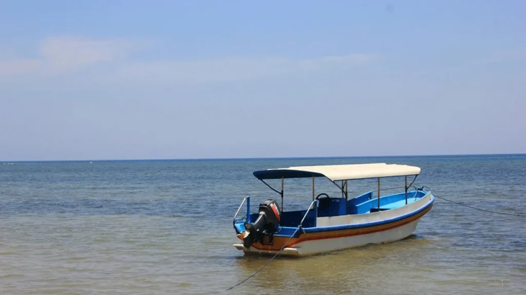 Ternyata, Keindahan Tersembunyi Pantai Bama di Banyuwangi yang Harus Anda Coba!